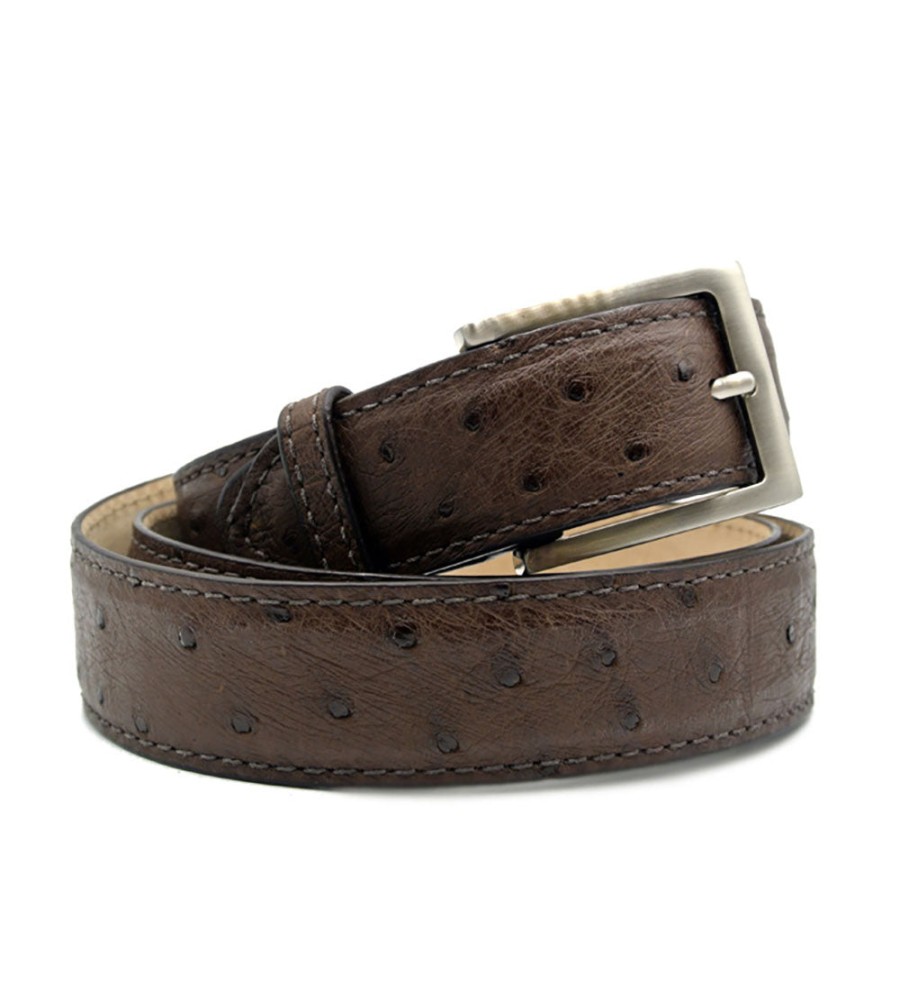 Zelli Zelli Genuine Ostrich Quill Belt Online